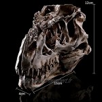 Crâne de Dinosaure Résine Réplique Squelette Collection de Figurine Bar Décor Blanc