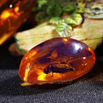 Garneck 5 Pièces Fossiles D'ambre Charmant Échantillons de Mode Uniques Pierres Spécimens de Cristal Décorations pour La Maison pour Bureau de Laboratoire