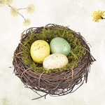 HEALLILY Nid d'oiseau Fait à la Main nid Artificiel avec œuf nid d'oiseau décoratif pour découvrir des Accessoires de décoration de la Maison
