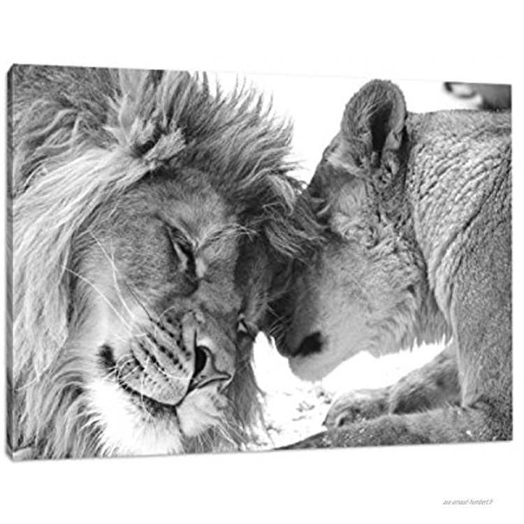 Best for Home Impression d’art murale avec cadre Motif : couple de lions dans la savane Noir blanc Toile noir blanc 120 x 80 cm