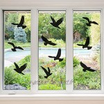 20 Autocollants de Fenêtre Anti-Collision Autocollants de Fenêtre en Forme d'Oiseau Autocollants de Fenêtre Anti-Oiseau pour Empêchement d’Impact d'Oiseau et Gens sur Verre Fenêtre Accessoires de Fête