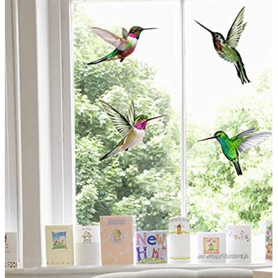 Stickers pour Fenêtre 4 Superbes Stickers Electrostatiques Décoratifs au Motif Colibri – Permet d’éviter Que Les Oiseaux Ne Se Cognent dans Vos Fenêtres