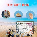 lefeindgdi Calendrier de l'Avent boîte au trésor calendrier de l'Avent de Noël avec pierres minérales et pierres précieuses coffret cadeau pour enfants