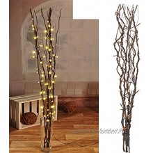 Branches lumineuses brunes avec 80 LED décoration lumineuse