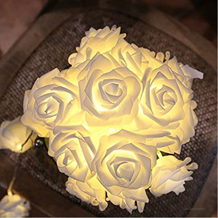 CozyHome Guirlande lumineuse LED roses blanches – Batterie de 5 m | 20 fleurs blanc chaud | Guirlande lumineuse rose | Décoration pour chambre à coucher coiffeuse | Guirlande lumineuse rose à piles