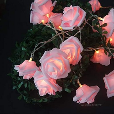 Fantes Guirlande Lumineuse LED à Piles Motif Fleurs Roses Diamètre 6 cm PE polyéthylène. rose 6.6ft 20LED