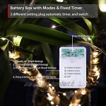 Guirlandes Lumineuses LED fil de Cuivre Fin à Piles 50 Micro LED Blanc Chaud avec Minuterie d'économie de Batterie pour Intérieur et Extérieur 5 m