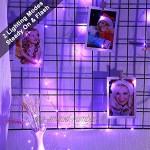 Halloween Guirlandes lumineuses [Lot de 8] BrizLabs 2m 20 LEDs Guirlande de Lumière Mini Piles Étanche Fil D'argent Intérieur LED Décoration Lumière pour Noël Thanksgiving Maison Chambre Pourpre
