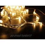 Noël Guirlande lumineuse LED 100 Blanches Chaudes LEDs sur Câble Transparent pour Noël Sapin Maison Fêtes Mariages Anniversaire Nouvel An