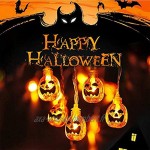 Queta Set de 4 Guirlandes Lumineuse d'Halloween 3m 20 Leds Citrouilles Orange Araignée Transparente Fantômes Blancs Chauve-souris Transparente Lumières à Piles pour Décorations d'Halloween