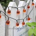 Queta Set de 4 Guirlandes Lumineuse d'Halloween 3m 20 Leds Citrouilles Orange Araignée Transparente Fantômes Blancs Chauve-souris Transparente Lumières à Piles pour Décorations d'Halloween