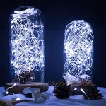 Yakamoz 10M 100 LEDs Guirlandes Lumineuses Comme Etoilées Lumières LED pour Noël Mariage Décoration d'Extérieur et Intérieure Blanc Froid Lumière Avec Boîte de Batterie