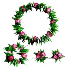 Amosfun 4 Pcs Hawaïen Fête Leis Fleurs Colliers Bandeaux Bracelets de Danse Guirlande Fleur Leis pour Tropical Luau Plage Fournitures de Fête