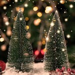 KATELUO 9 Pièces Arbre de Noël Mminiature,Sapin de Noel Miniature,Mini Arbre de Noël Artificiel avec Bases en Bois,DIY,Décoration de Table Noël,Cadeau