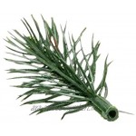 Lot de 55 branches de sapin décoratives Vert 6,5 cm de long Décoration de couronne de l'Avent Vert sapin