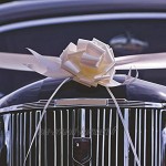 faburo Lot de 100 nœuds pour nœuds de mariage cocardes blancs auto-tirants mariage baptême voiture décoration