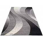 Carpeto Rugs Tapis Salon Gris 120 x 170 cm Moderne Vagues Monaco Collection