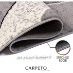 Carpeto Rugs Tapis Salon Gris 120 x 170 cm Moderne Vagues Monaco Collection