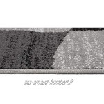 Carpeto Rugs Tapis Salon Moderne Fleurs Gris 130 x 190 cm Différentes Tailles Poils Courts
