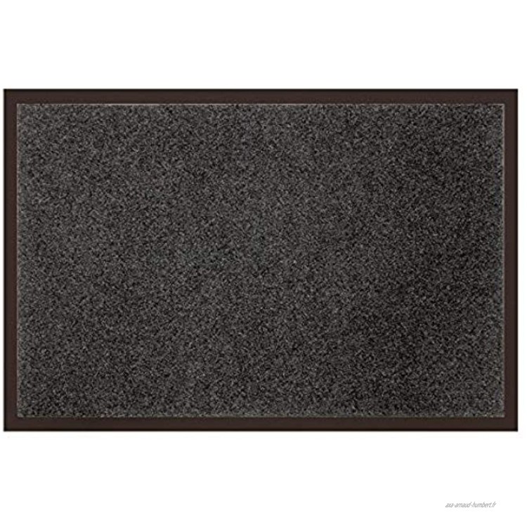 Tapis Déco douceur d'intérieur tapis d'entree rectangle 40x60 cm anti-poussiere telio gris