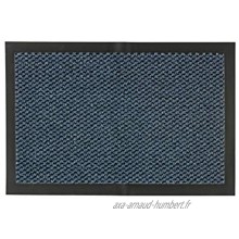 Carpido Paillasson 80 x 120 cm pour l'intérieur – Tapis de Porte à séchage Rapide – Antidérapant Bleu chiné – Paillasson Simple