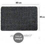 LNG Tapis entree interieur exterieur paillasson exterieur tapis exterieur tapis de sol tapis cuisine tapis antiderapant tapis absorbant noir gris 40x60cm lavable et imperméable