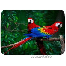 DAOPUDA Tapis de Bain Antiderapant,Perroquets Ara Beaux Oiseaux Jungle colorée,Absorbant très Doux,sèche Rapidement Lavable pour Bain Cuisine Toilette 45x75cm