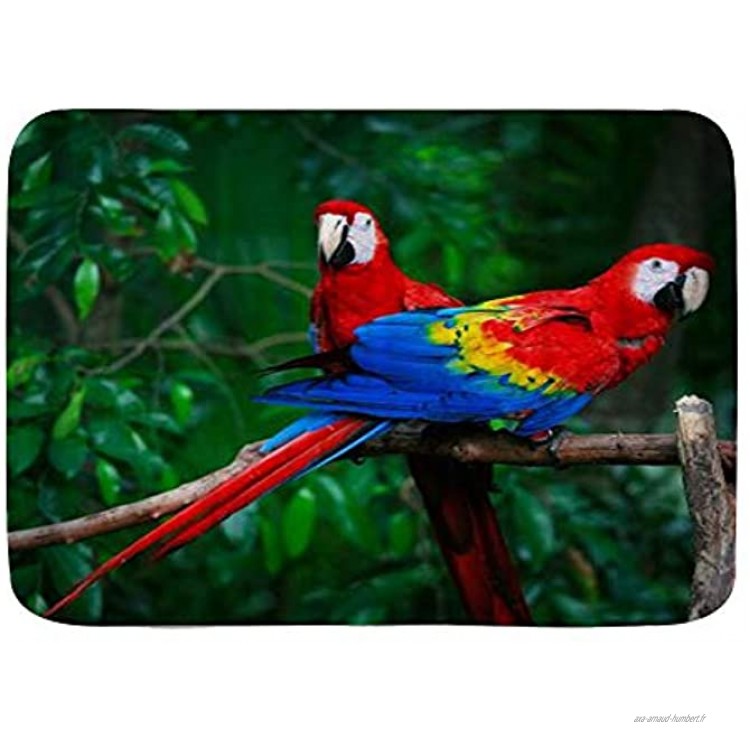 DAOPUDA Tapis de Bain Antiderapant,Perroquets Ara Beaux Oiseaux Jungle colorée,Absorbant très Doux,sèche Rapidement Lavable pour Bain Cuisine Toilette 45x75cm