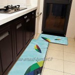 Lot de 2 tapis de cuisine lavables antidérapants pour intérieur ou extérieur marque Ashkenazi