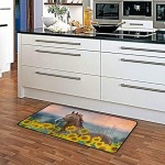Tapis de cuisine tapis de cuisine tapis de bain antidérapant 99,1 x 50,8 cm