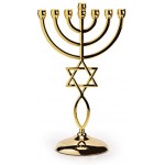Ananadashop Photophore décoratif en forme d'étoile de David avec 7 branches Symbole juif d'Israël Menorah