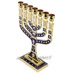 BRTAGG Menorah Chandelier juif 12 tribus d'Israël 7 Branches Hauteur 27 cm