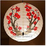 CAIFEIYU Lanternes de Papier en Fleur de Prune Rouge 3PC 30 35 40cm Chinois Japon Festival Lanterne Lanterne Sakura Couverture Couverture de Mariage Décor fête de Mariage