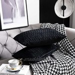 DEZENE Housses de Coussin Décoratives à Rayures Noires: Lot de 2 Taies d'oreiller Rectangulaires en Velours d'origine 30 cm x 50 cm pour Canapé de Chambre