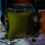 Glory Season Housse de coussin en velours Housse de coussin carrée luxueuse et décorative douce pour canapé-lit ferme lot de 2 45x45cm vert olive