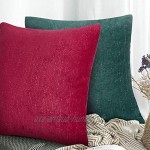 Rendiele Set de 2 taies d'oreiller carrées décoratives Housse de Coussin Brillante de Noël pour canapé Chambre à Coucher Salon,40x40cm-rouge et Vert