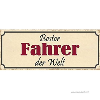 Generisch Plaque métallique avec inscription en allemand « Bester fahrer der Welt » 10 x 27 cm