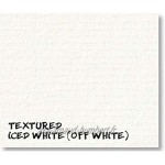 Lot de 20 passe-partout texturés blanc glacé pour photos de 25,4 x 20,3 cm avec dos et sacs transparents refermables de 1,4 mm