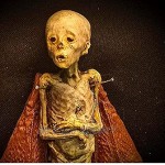 Articles maudits Affichage de boîte d'ombre de fée Morte cadavre de fée momifié Effrayant Fait à la Main décorations murales d'halloween Belles et tristes pour Votre Bureau ou étagère de Livre