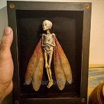 Articles maudits Affichage de boîte d'ombre de fée Morte cadavre de fée momifié Effrayant Fait à la Main décorations murales d'halloween Belles et tristes pour Votre Bureau ou étagère de Livre
