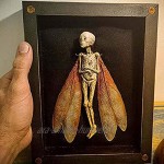 YHQKJ Boîtier d'affichage de la boîte d'ombre de fées Dead décoration de Halloween effrayante à la Main Articles maudits pour Halloween Bureau Book étagère Mur